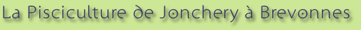 La pisciculture de Jonchery  Brevonnes